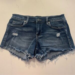 BlankNYC Astor Denim Cut-Off Shorts, Size 26